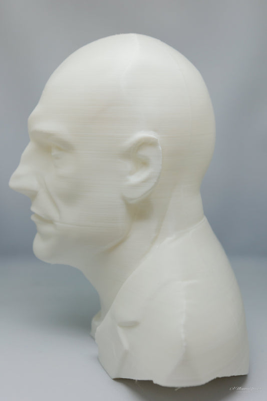 Why a 3D Printed Bust is the Perfect Personalized Gift