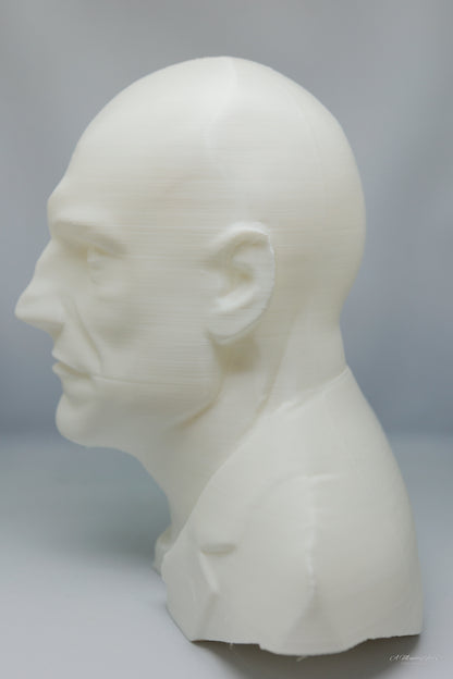 Personalized Bust